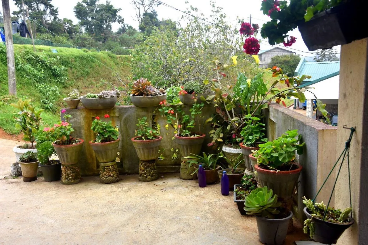 Pedro Resort & Bungalow Nuwara Eliya Guest house